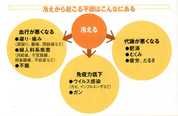 血液の熱い働き