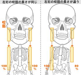 体全体に影響を及ぼす