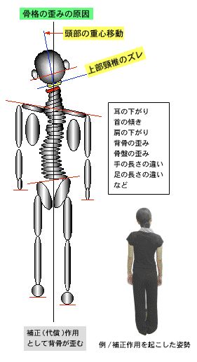 噛み合わせと姿勢