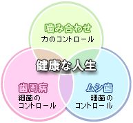 正しい噛み合わせと姿勢を保つ